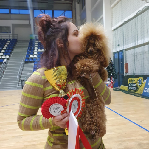 Bulgaria Poodle Speciality 30.11.2024